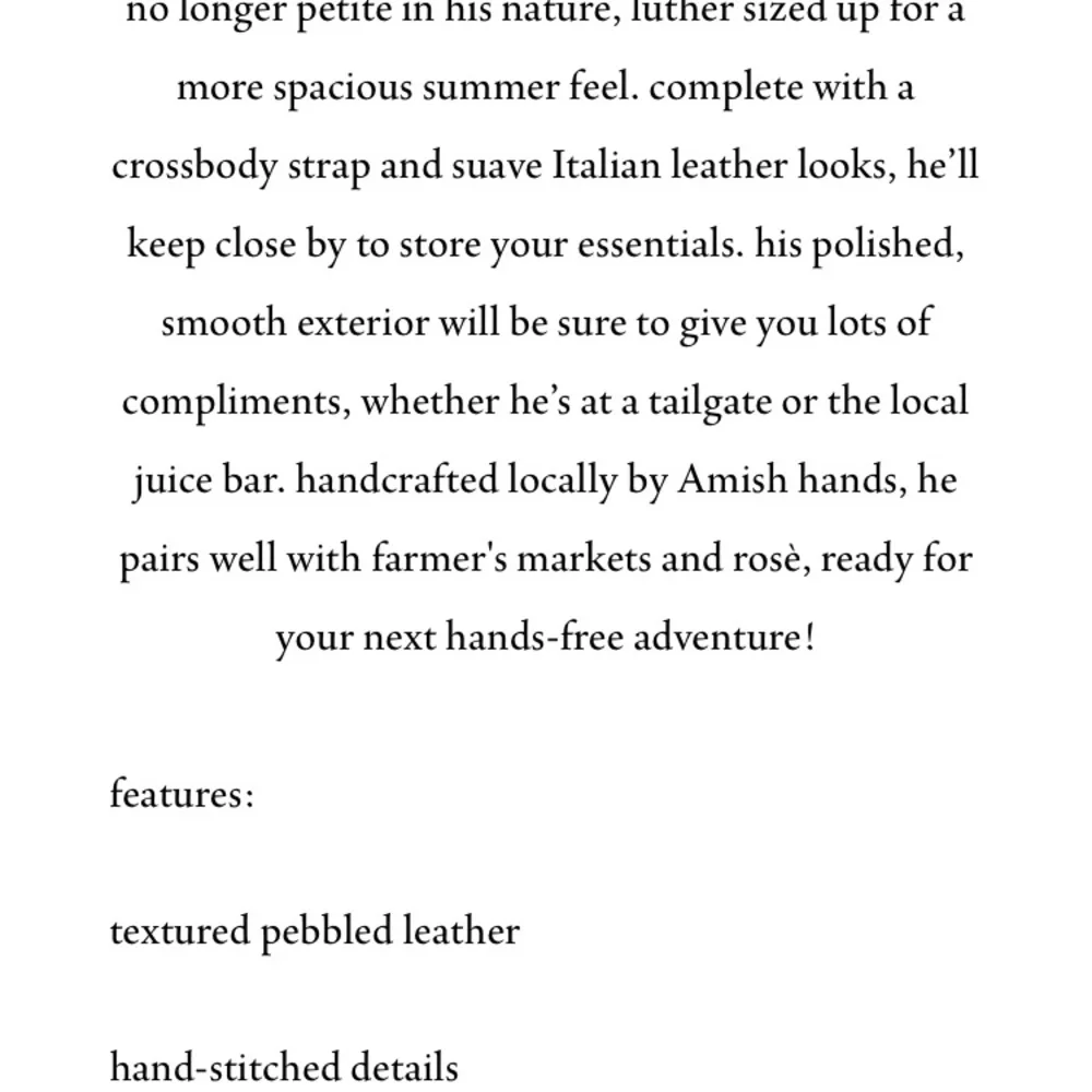 Henry Dry Goods Large Luther crossbody - Picture 12 of 12